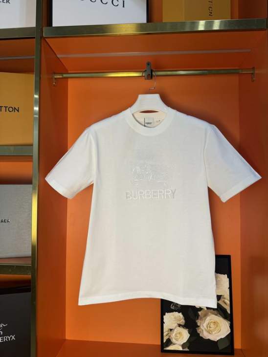 Picture of Burberry T Shirts Short _SKUBurberryS-XLlzytx022619533